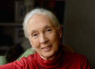 Dame Jane Goodall to appear at the Beacon Theatre in New York Dr. Jane Goodall