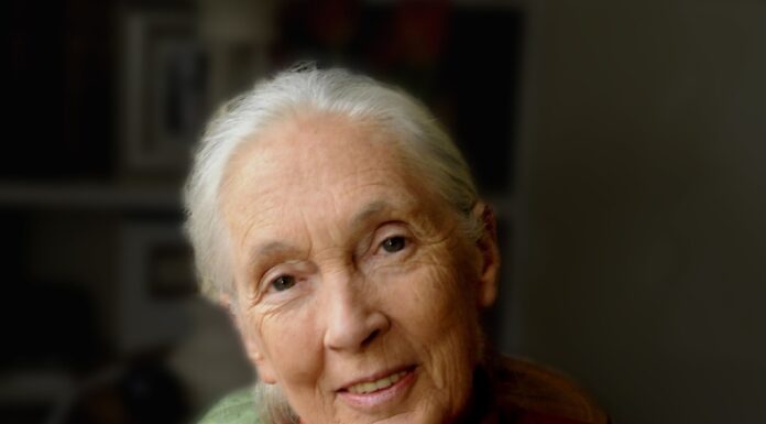 Dame Jane Goodall to appear at the Beacon Theatre in New York Dr. Jane Goodall