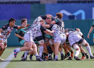 Grit, Grace, and Glory: The Dallas Jackal’s Unstoppable Spirit in Texas Rugby Dallas Jackals