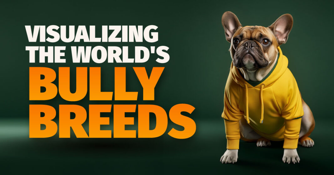 bully breeds