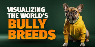 bully breeds