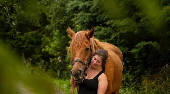 Catching up with Chrissie Gialisis on horseback riding and mental health Chrissie Gialisis and her horse Bali