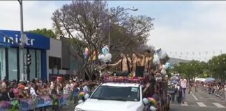 Mister Universe Organization is spotlighted in the 2024 WeHo Pride Parade Mister Universe Organization float at the 2024 WeHo Pride Parade