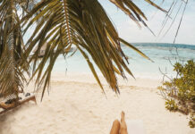 Bonaire’s Best-Kept Secret: Harbour Village Beach Club Harbour Village Beach Club