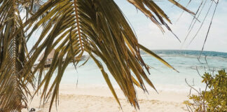 Bonaire’s Best-Kept Secret: Harbour Village Beach Club Harbour Village Beach Club