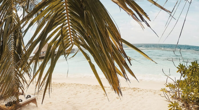 Bonaire’s Best-Kept Secret: Harbour Village Beach Club Harbour Village Beach Club