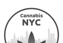 The Visionary Behind Cannabis NYC Cannabis NYC