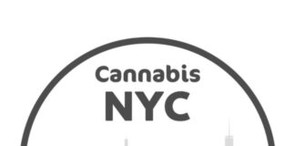 The Visionary Behind Cannabis NYC Cannabis NYC