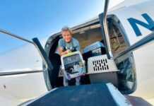 David Chokachi teams up with Best Friends Animal Society to help during the Los Angeles wildfires David Chokachi