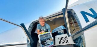 David Chokachi teams up with Best Friends Animal Society to help during the Los Angeles wildfires David Chokachi