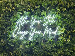 How the Altered State Is Rewiring DFW’s Burnout Culture Altered State