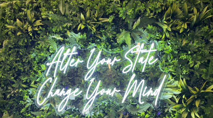 How the Altered State Is Rewiring DFW’s Burnout Culture Altered State