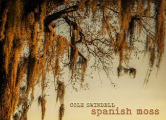 Review: Cole Swindell releases the best album of his career — ‘Spanish Moss’ Cole Swindell releases 'Spanish Moss' album