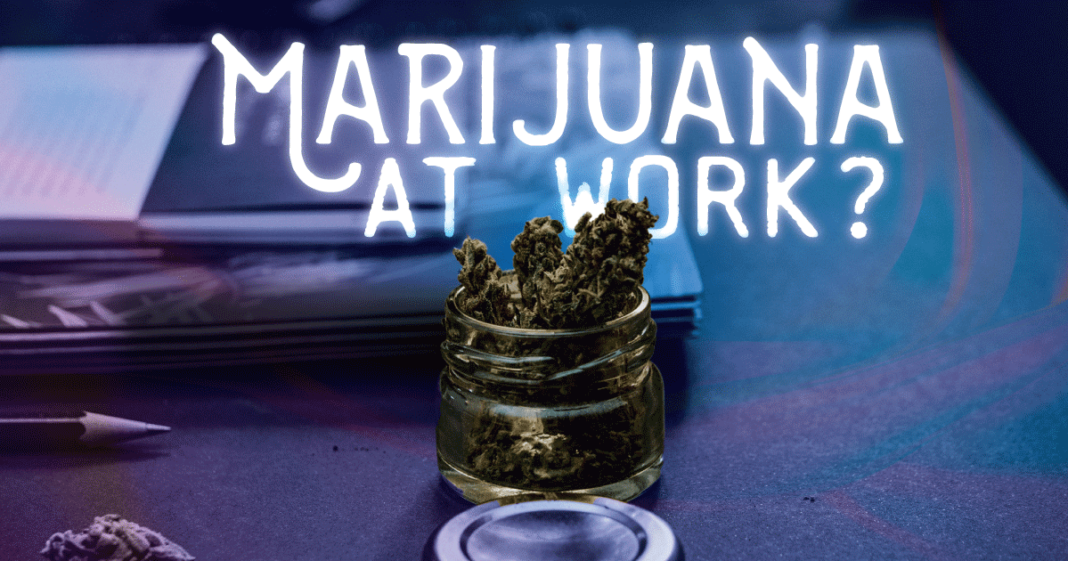 marijuana laws at work