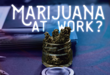 Why Legal Marijuana Could Impact Your Business marijuana laws at work
