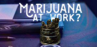 Why Legal Marijuana Could Impact Your Business marijuana laws at work