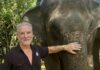Mason Elephant Park in Bali issues a formal response to an article on PETA claims Nigel Mason