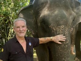 Mason Elephant Park in Bali issues a formal response to an article on PETA claims Nigel Mason