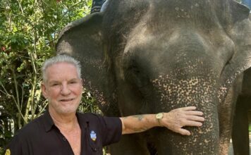 Mason Elephant Park in Bali issues a formal response to an article on PETA claims Nigel Mason