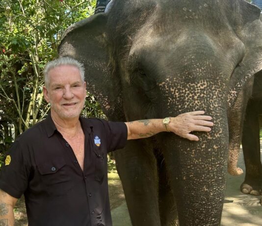 Mason Elephant Park in Bali issues a formal response to an article on PETA claims Nigel Mason