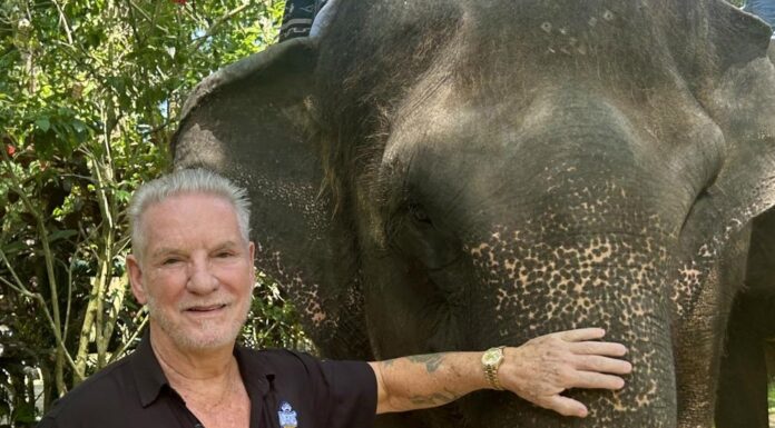 Mason Elephant Park in Bali issues a formal response to an article on PETA claims Nigel Mason