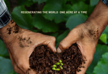 One Billion Acres campaign launches in New York with exclusive premiere of ‘Groundswell’ 'Groundswell' poster