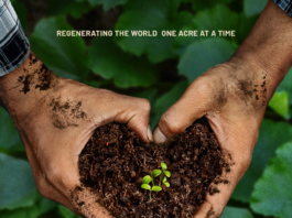 One Billion Acres campaign launches in New York with exclusive premiere of ‘Groundswell’ 'Groundswell' poster