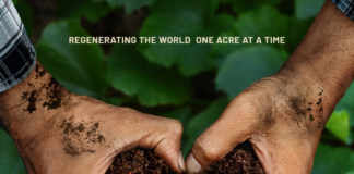 One Billion Acres campaign launches in New York with exclusive premiere of ‘Groundswell’ 'Groundswell' poster