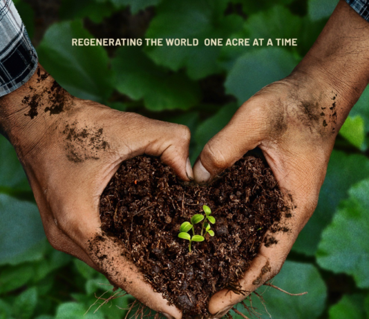 One Billion Acres campaign launches in New York with exclusive premiere of ‘Groundswell’ 'Groundswell' poster